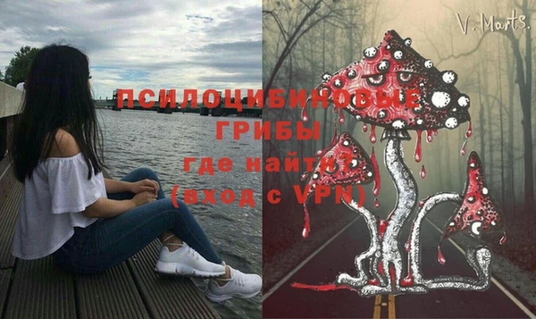молекула духа Алзамай