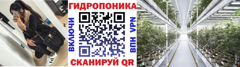 Конопля MAZAR наркошоп Славск